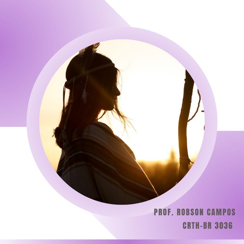 Xamanismo Animais Totêmicos e de Poder