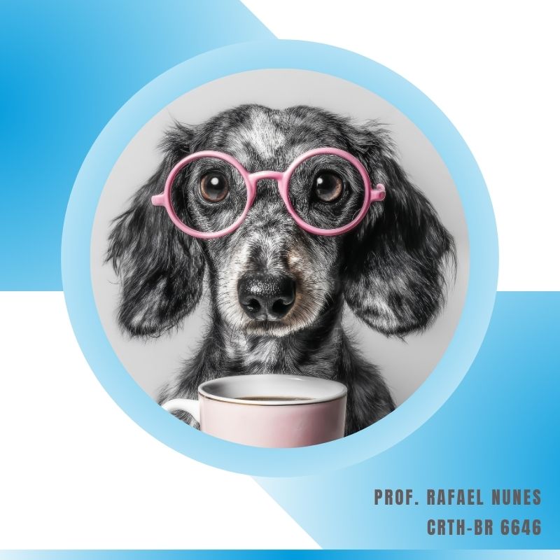 Terapeuta Pet Integrativo