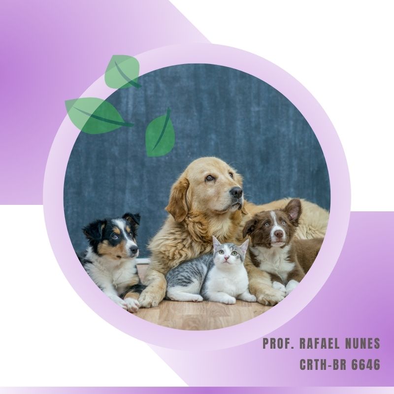 Fitoterapia para Animais