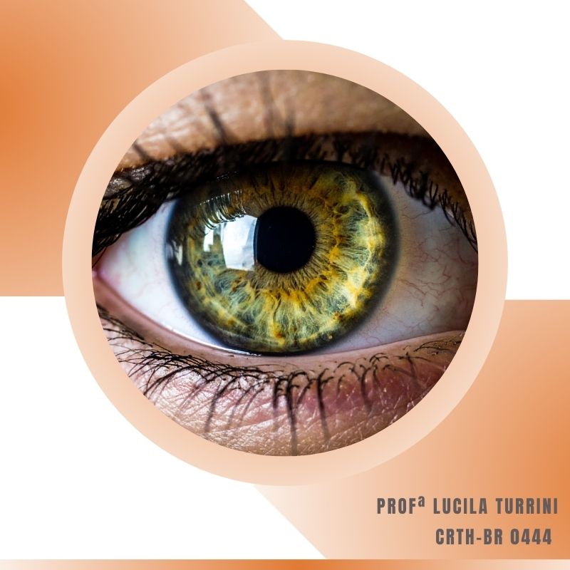 Analise-Comportamental-e-Organica-pela-Iris.