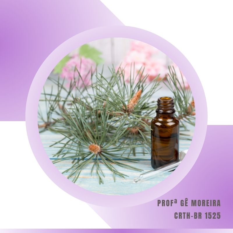 Florais Etéricos Guerreiros do Arco-Íris